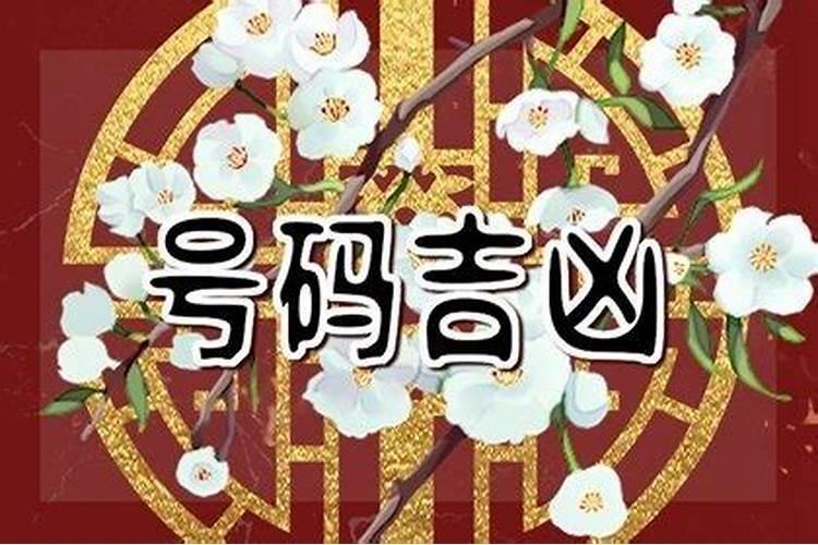 根据生辰八字选手机号 好运高级的手机号码？