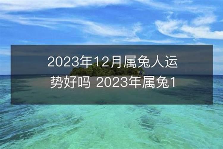 1975属兔女2024年每月运势及运程