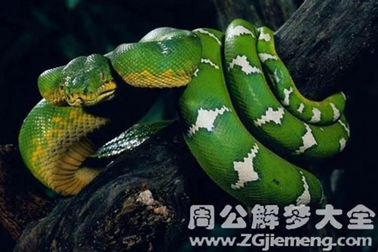 关于小年的故事民间关于小年的传说有哪些