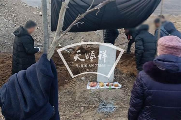 2025蛇年二月二龙抬头之时,适合说些什么祝福话语