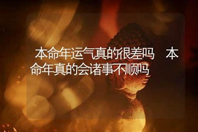 2025年为什么龙也犯太岁呢