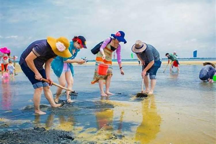 柯桥滨海哪个地方看潮最好,绍兴滨海新区周边旅游景点