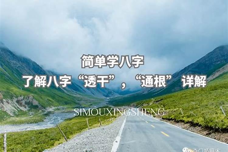 八字里的通根透干是什么意思？怎么看？