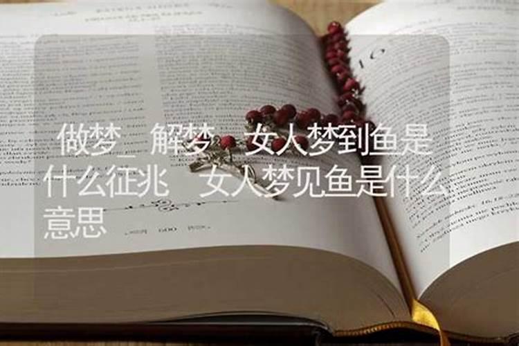 女人梦到鱼死了是什么征兆 意思
