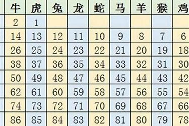 2024年8月12号的特吉生肖