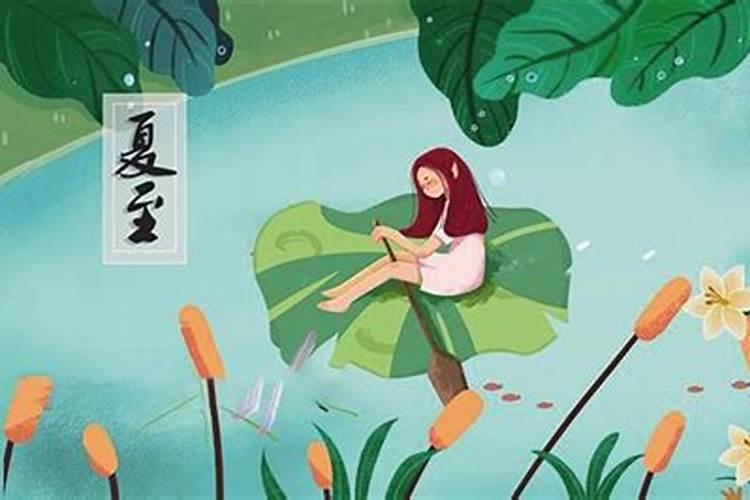 夏至要注意什么