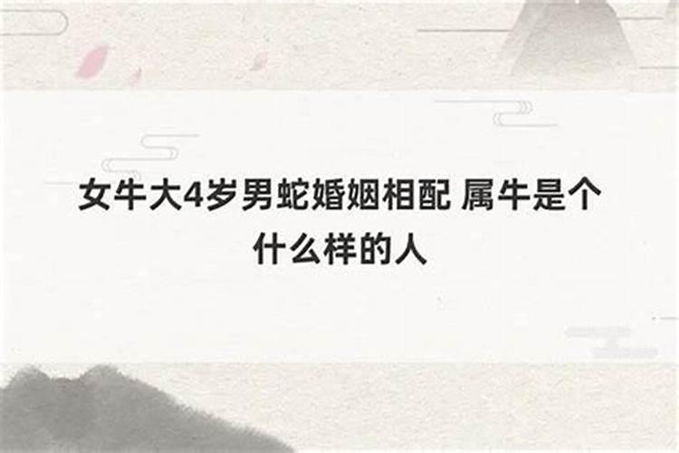 男牛女蛇婚姻最终结局