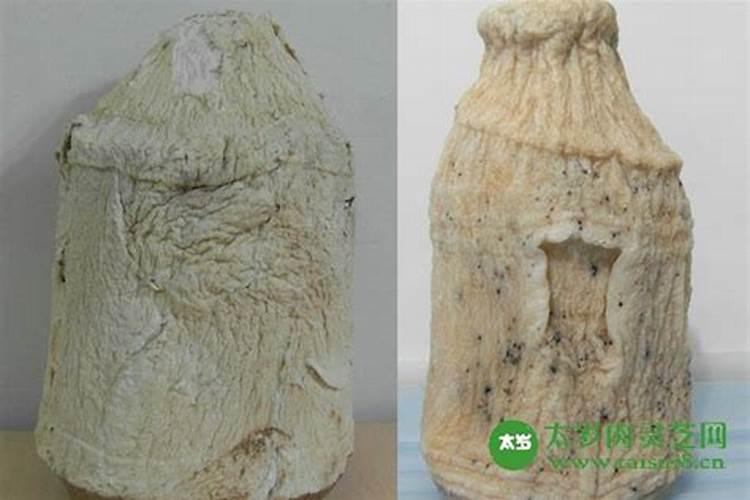 梦见大年初一蛇的预兆