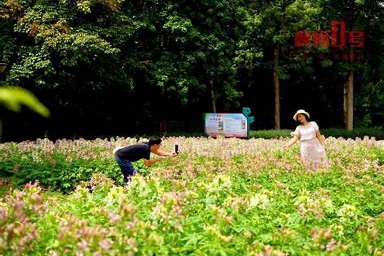 中元节,南方人怎么过