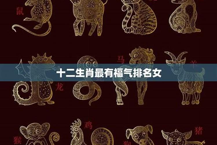 属哪个生肖的宝宝命好