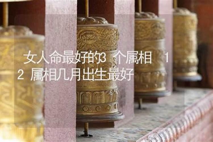 十二属相哪个属相命最好
