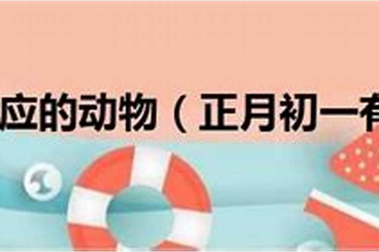 大年初一有公交车吗