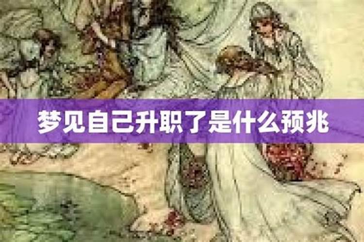 2025年6月十二生肖运势详解