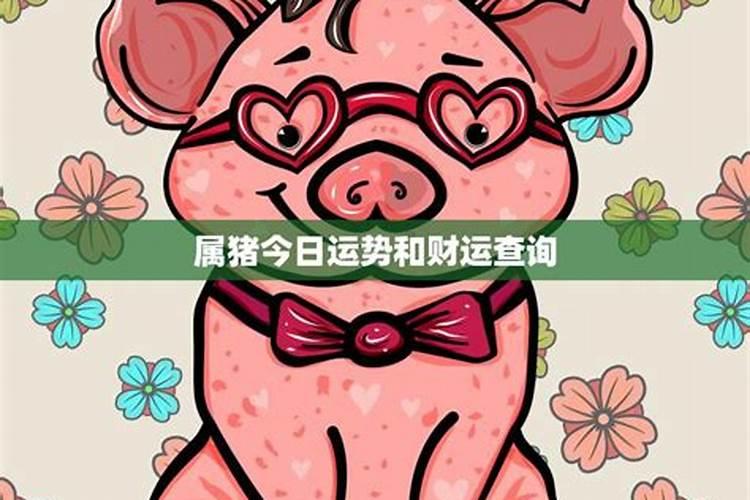 今日属什么生肖