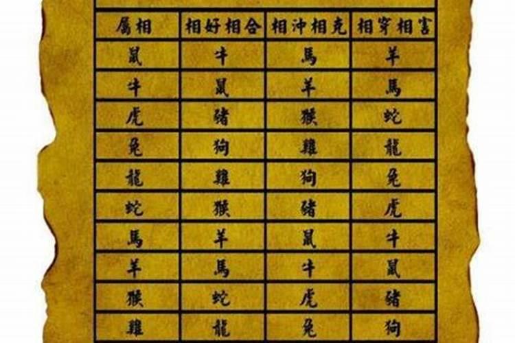 94年女狗的属相婚配表 1994属狗女命运和婚姻如何