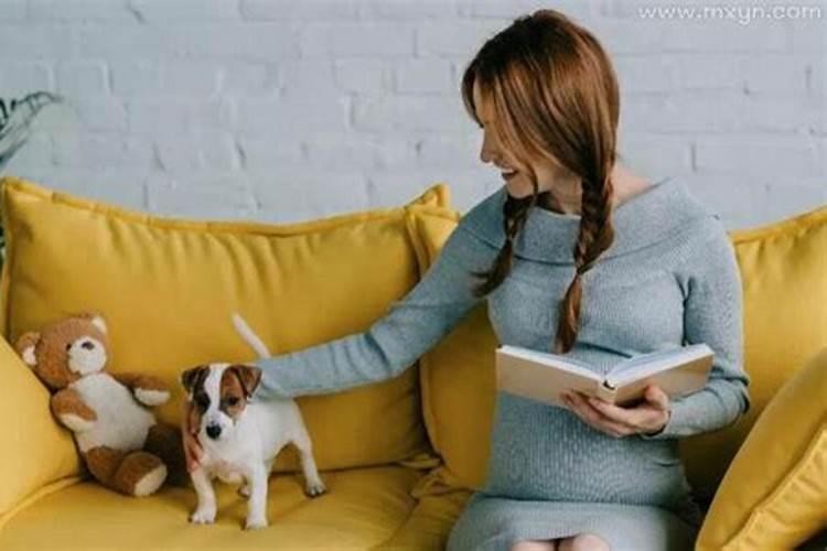 孕妇梦见被狗咬了是什么含义