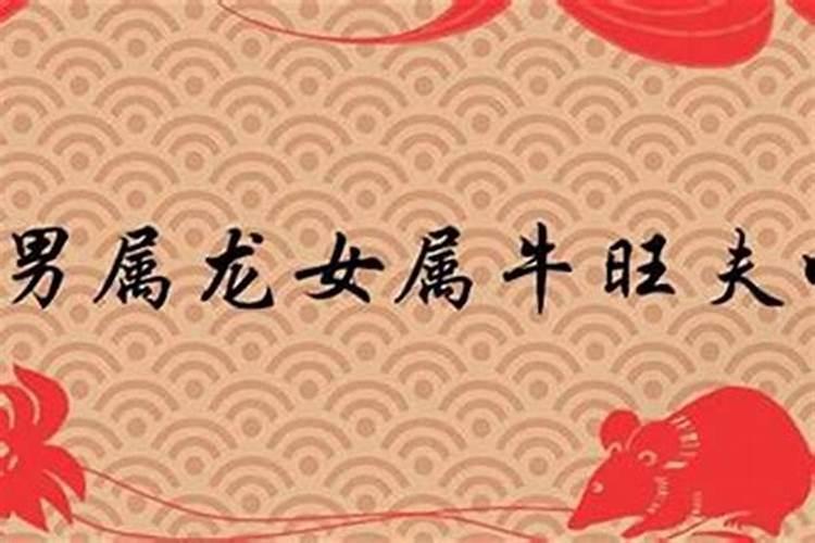 2025年春节是什么时候 几月几号