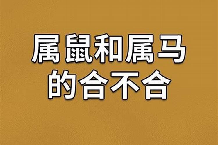 农历1984年鼠男和农历1990年马女婚配情况如何