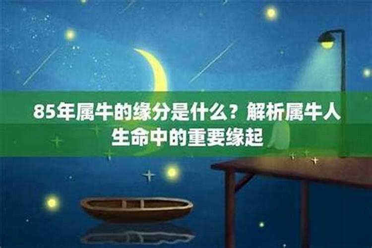 97年属牛女的八字 1997年生肖牛几月出生命好？