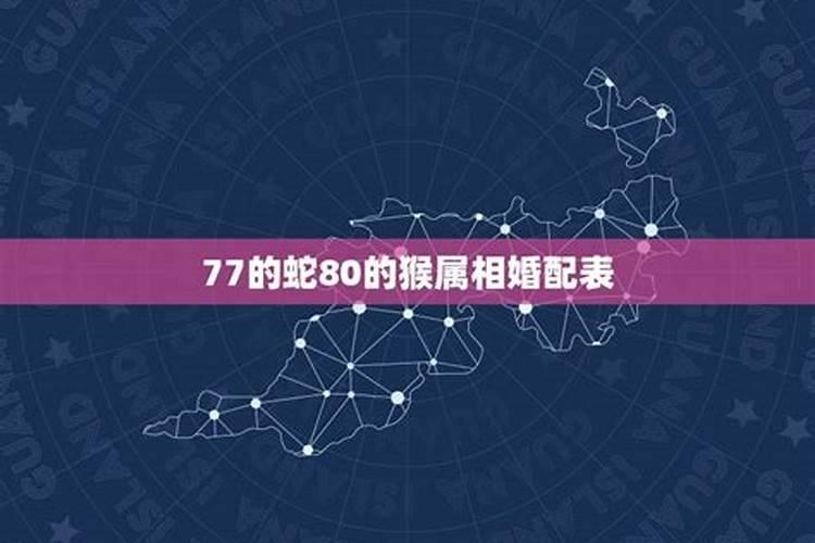 1977年男蛇和1980年女猴婚姻能白头到老吗