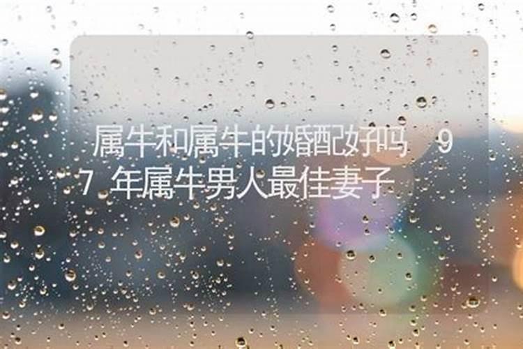 十二生肖中阴险小人的有哪些动物