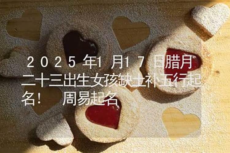 梦见老鼠往身上扑