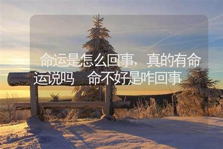 每个人的命运都是上天注定好了的吗？