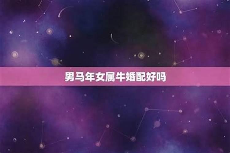 属马的6合3合属相是什么属马人和什么属相最不合