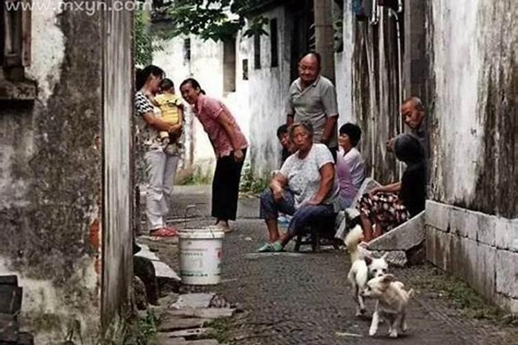 梦见老家同村的人