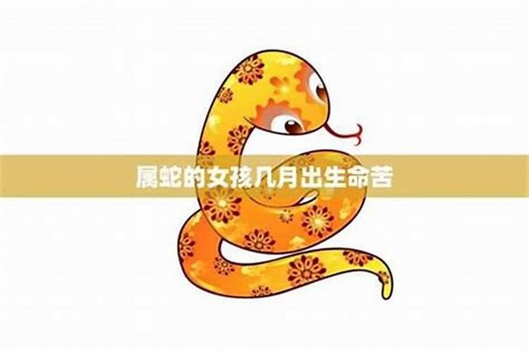属蛇的人一生命运