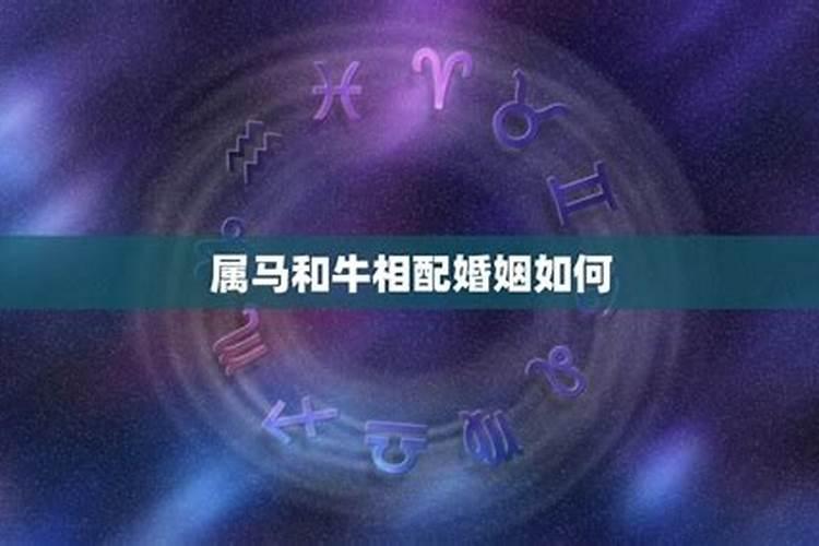 属牛属马千万不能在一起 属牛人命中注定有两段婚姻