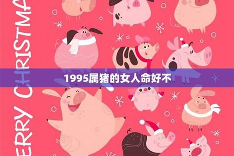 95年属猪女人一生的命运如何事业有成？