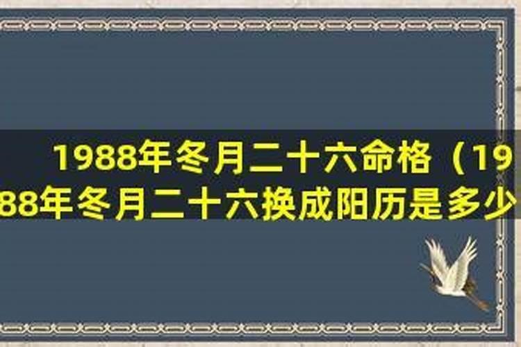 48岁属蛇本命年需要注意什么