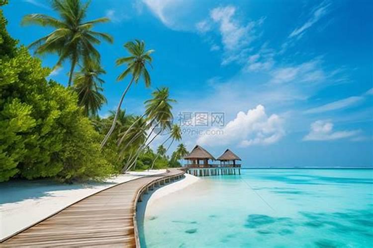 梦见特别美的海景