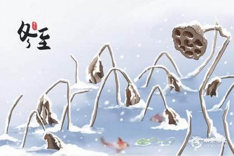 八字和奇门遁甲哪个准确率高