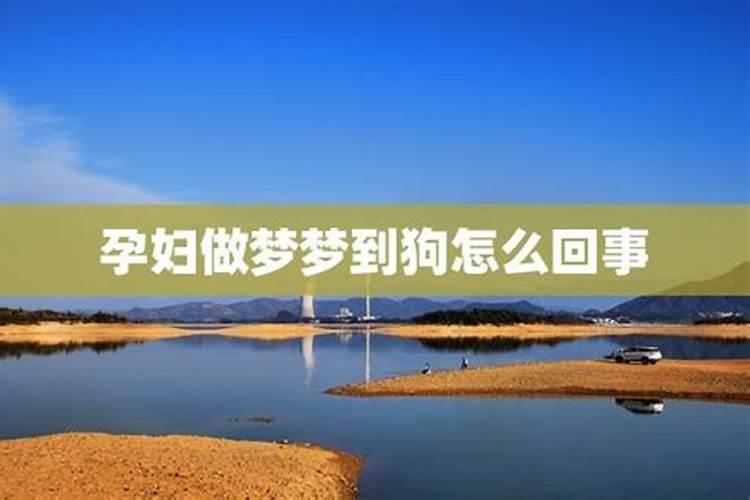 男属猪和女属马合不合？