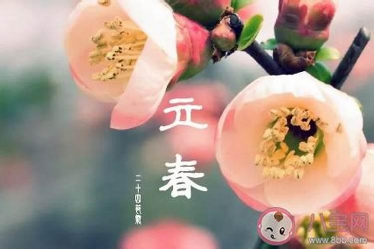 洛阳清明节免费旅游景点