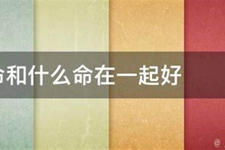 八字合婚大林木命的最佳配偶是什么命