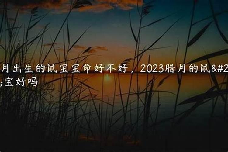 属鸡的为什么近几年都犯太岁 犯太岁有哪些先兆？