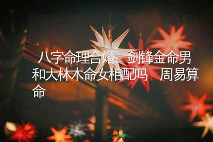 跪求:剑锋金命《女》和大林木命《男》可以婚配吗？~婚后财运情况会怎么...