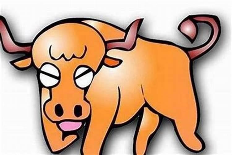 73年牛和82年狗的属相合不合,相互刑害怎么办？