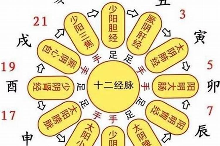 66年女马农历五月十四虚时生今年感情家庭婚姻运势？