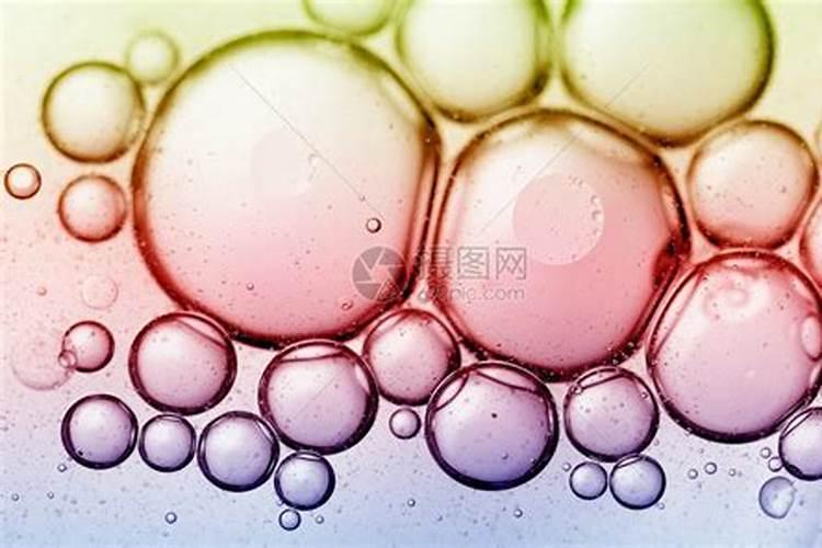 属羊的女人2025年运势及运程