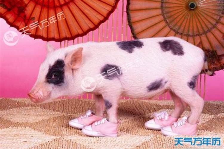 2024年5月生子黄道吉日一览表