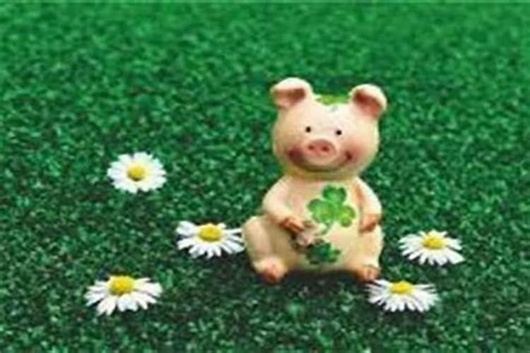5月1日生肖运势,1983年5月1日出生的人,一生的运势？