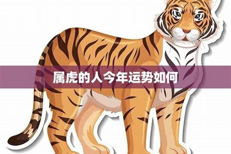 生肖虎2025年运势属虎2025年运势及运程