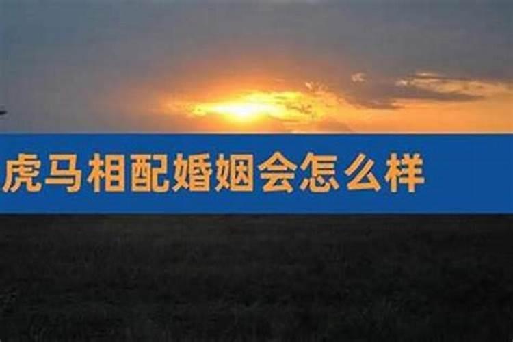 属兔男和属马女的婚姻相配吗