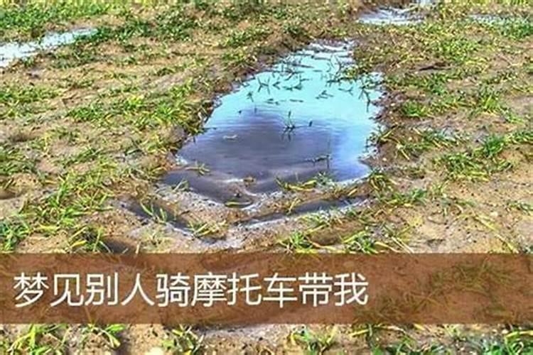 梦见自行车带小孩的预兆