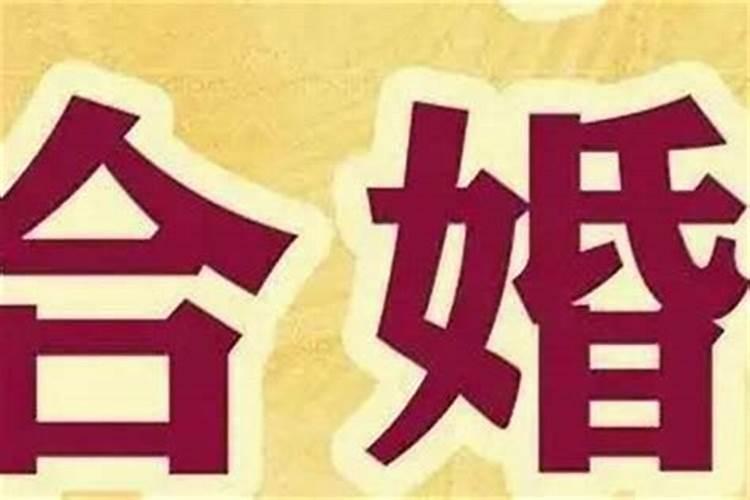 怎么算八字,怎么算自己的生辰八字？