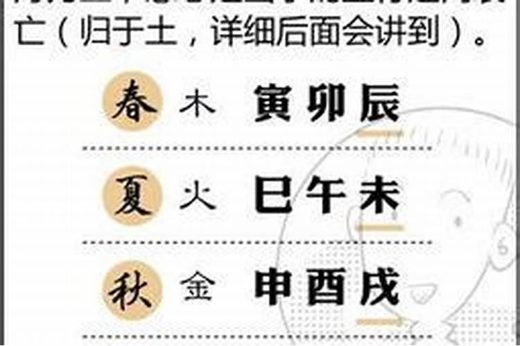 生肖兔2025年运势及运程如何